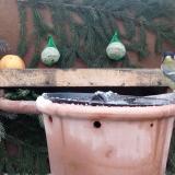 photo 2024-01-08 08-36-04