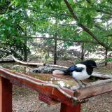 photo 2022-05-29 08-27-12