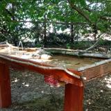 photo 2022-06-29 15-08-46