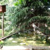 photo 2023-05-03 15-45-05