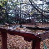 photo 2022-10-23 07-04-45