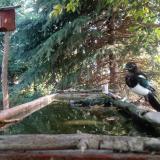 photo 2023-08-23 08-42-34