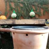 photo 2024-01-14 10-35-13