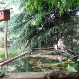 photo 2023-05-22 13-28-36