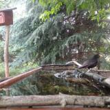 photo 2023-06-27 09-22-15