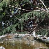 photo 2023-03-22 15-56-52