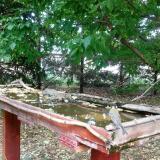 photo 2022-05-11 14-52-44