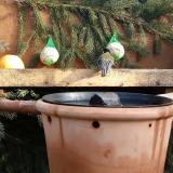 photo 2023-12-30 11-58-04