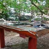 photo 2022-06-20 18-26-29