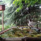 photo 2023-05-15 18-26-39