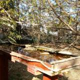 photo 2022-04-05 16-23-44