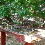 photo 2022-05-10 17-56-52