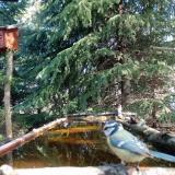 photo 2023-03-31 10-40-12