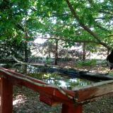 photo 2022-06-03 10-36-33