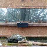 photo 2023-12-09 08-53-47