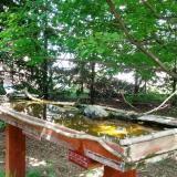 photo 2022-04-29 13-57-26