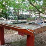 photo 2022-06-20 18-26-24