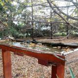 photo 2022-10-22 09-43-36