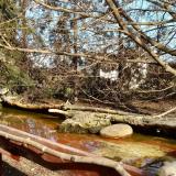 photo 2022-02-18 13-45-49