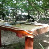 photo 2022-07-11 17-04-52