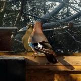 photo 2022-12-12 08-59-15