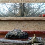 photo 2022-02-05 15-36-11