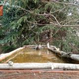 photo 2023-03-20 08-44-57