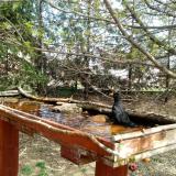 photo 2022-04-06 12-40-10