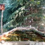 photo 2023-09-27 10-31-18