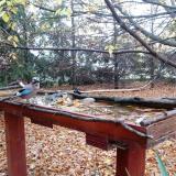 photo 2022-10-23 08-05-59