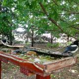 photo 2022-05-23 12-46-33