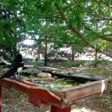 photo 2022-05-23 11-03-19