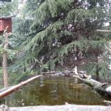 photo 2023-04-03 18-19-47