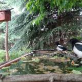 photo 2023-05-23 13-13-37