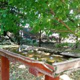 photo 2022-05-12 11-41-25