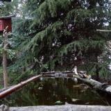 photo 2023-04-03 18-59-03