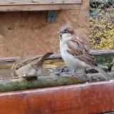 photo 2022-11-28 12-32-35