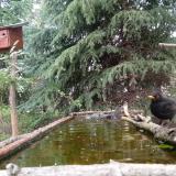 photo 2023-04-10 13-58-04