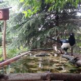 photo 2023-05-12 13-11-55