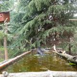 photo 2023-04-09 12-37-41