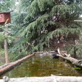 photo 2023-04-10 13-58-52