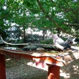 photo 2022-06-05 16-21-23