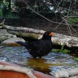 photo 2022-04-17 17-20-48 rigo