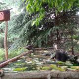 photo 2023-05-25 12-43-03