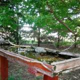 photo 2022-05-03 11-46-56