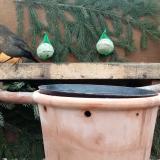 photo 2024-01-13 09-49-35