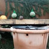 photo 2024-01-08 12-21-03