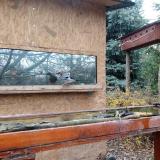 photo 2022-11-28 11-10-06