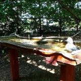 photo 2022-07-27 15-21-55