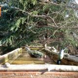 photo 2023-03-13 08-58-57